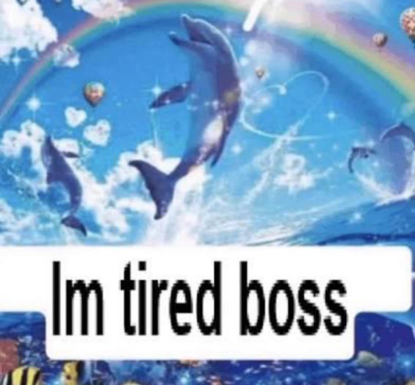 image of a happy looking dolphin leaping out of the water surrounded by rainbows. the original text has been pasted over and replaced with the words 'im tired, boss'